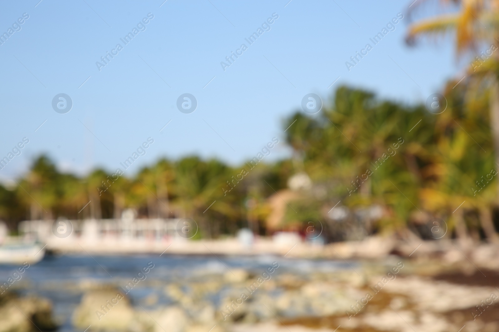 Photo of Blurred view of tropical beach on sunny day