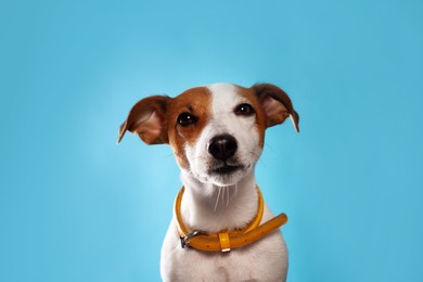 Photo of Adorable Jack Russell terrier with collar on light blue background
