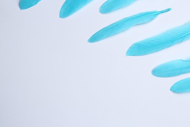 Photo of Light blue feathers on white background, space for text