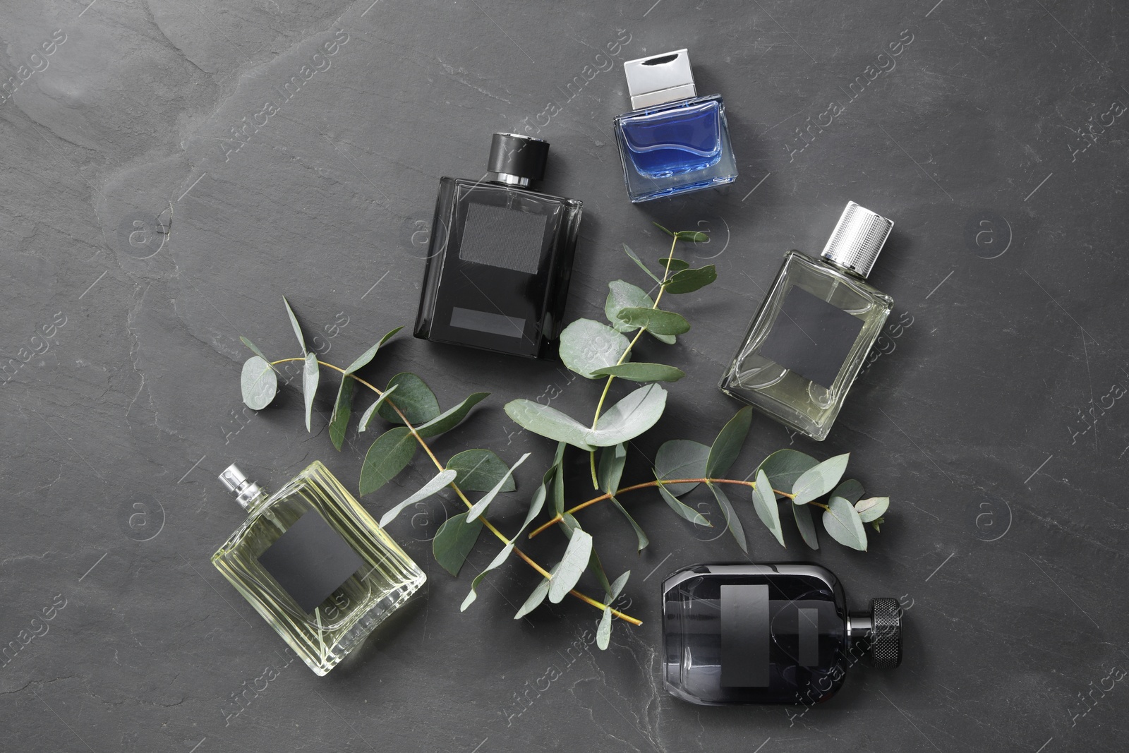 Photo of Luxury perfumes and eucalyptus branches on black table, flat lay. Floral fragrance