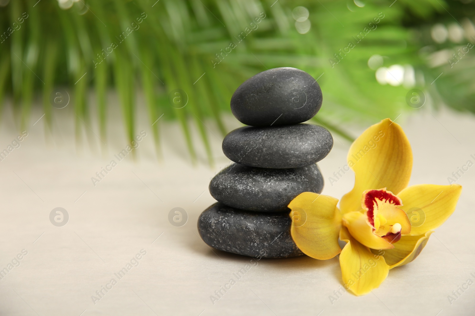 Photo of Stack of spa stones with flower on table against blurred background. Space for text