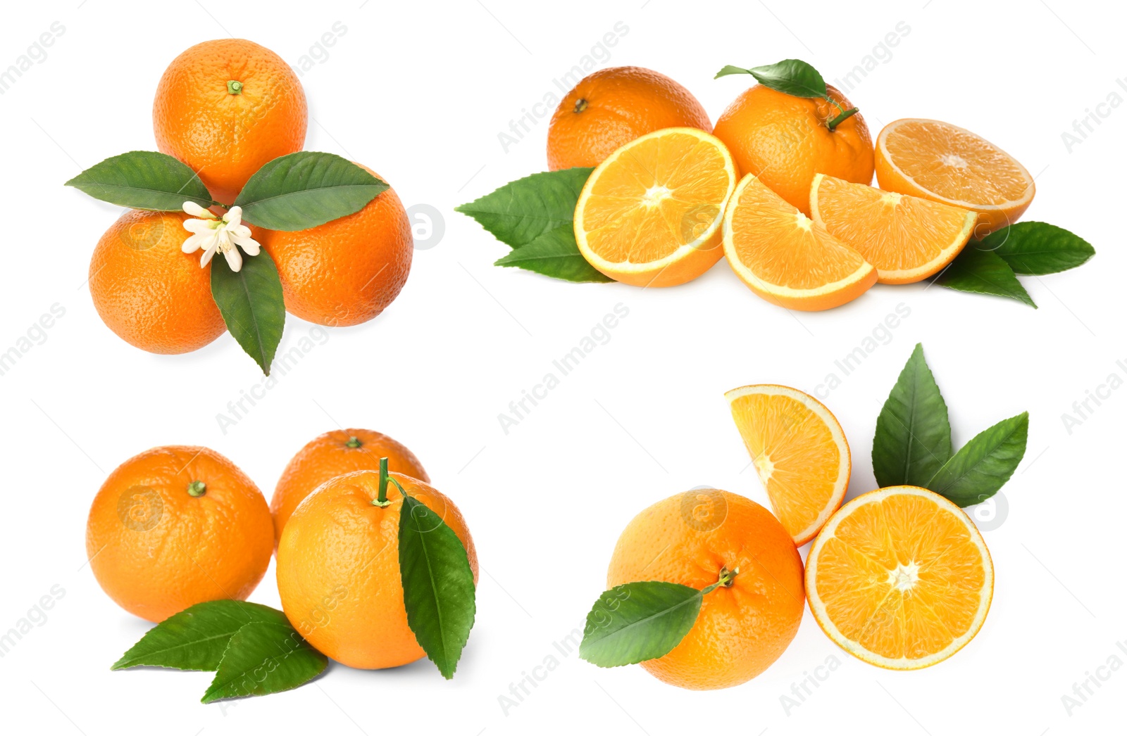 Image of Set with tasty ripe oranges on white background