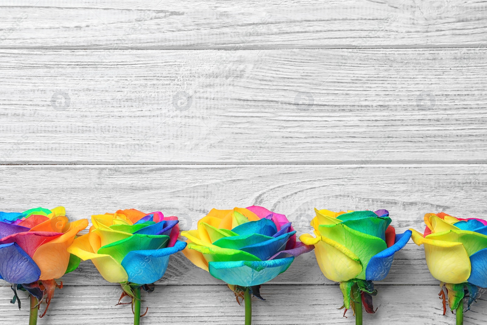 Photo of Rainbow rose flowers on wooden background, top view