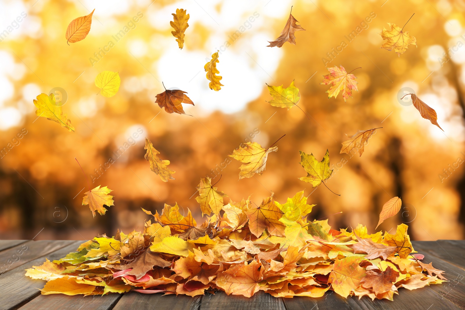 Image of Autumn leaves falling on wooden surface outdoors