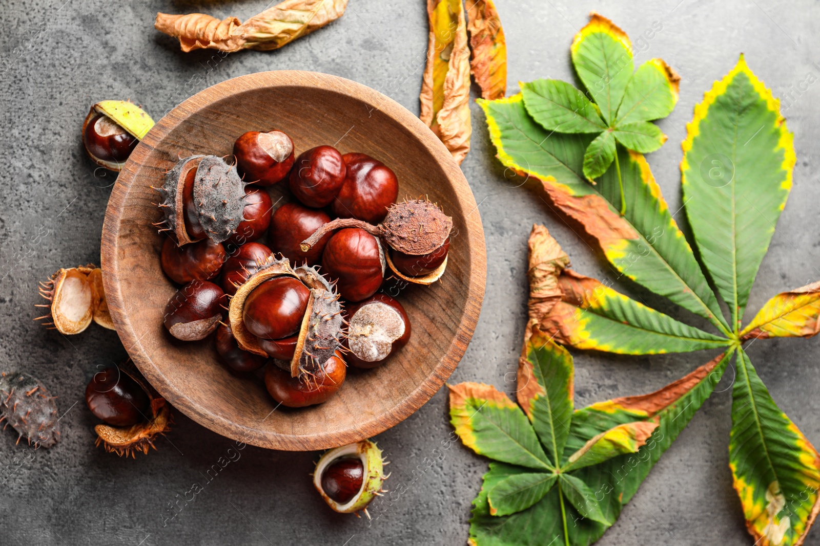 Photo of Horse chestnuts and leaves on grey table, flat lay