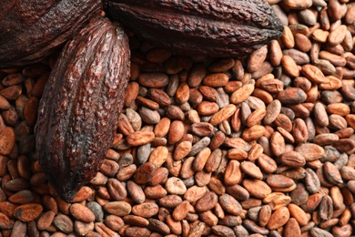 Photo of Whole cocoa pods on beans, top view with space for text