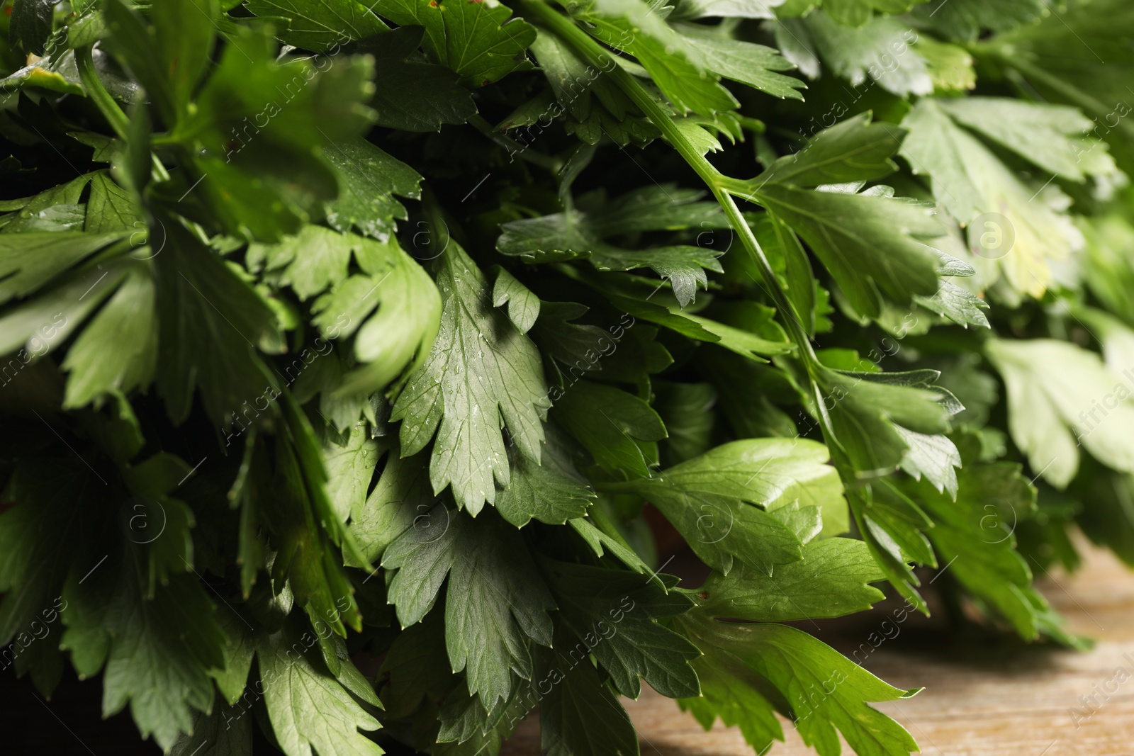 Photo of Fresh green parsley leaves on wooden table, closeup