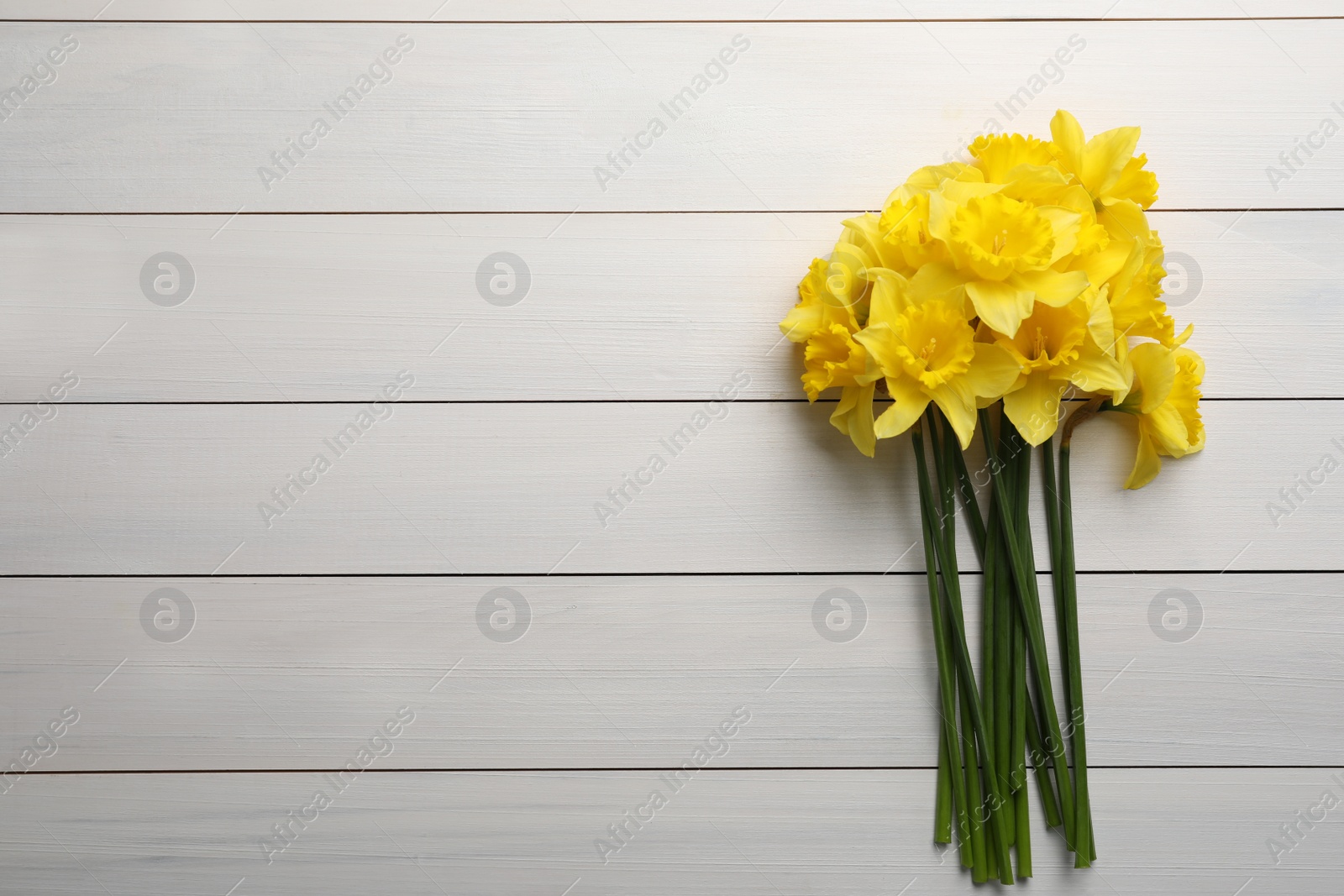 Photo of Beautiful daffodil bouquet on white wooden table, top view. Space for text