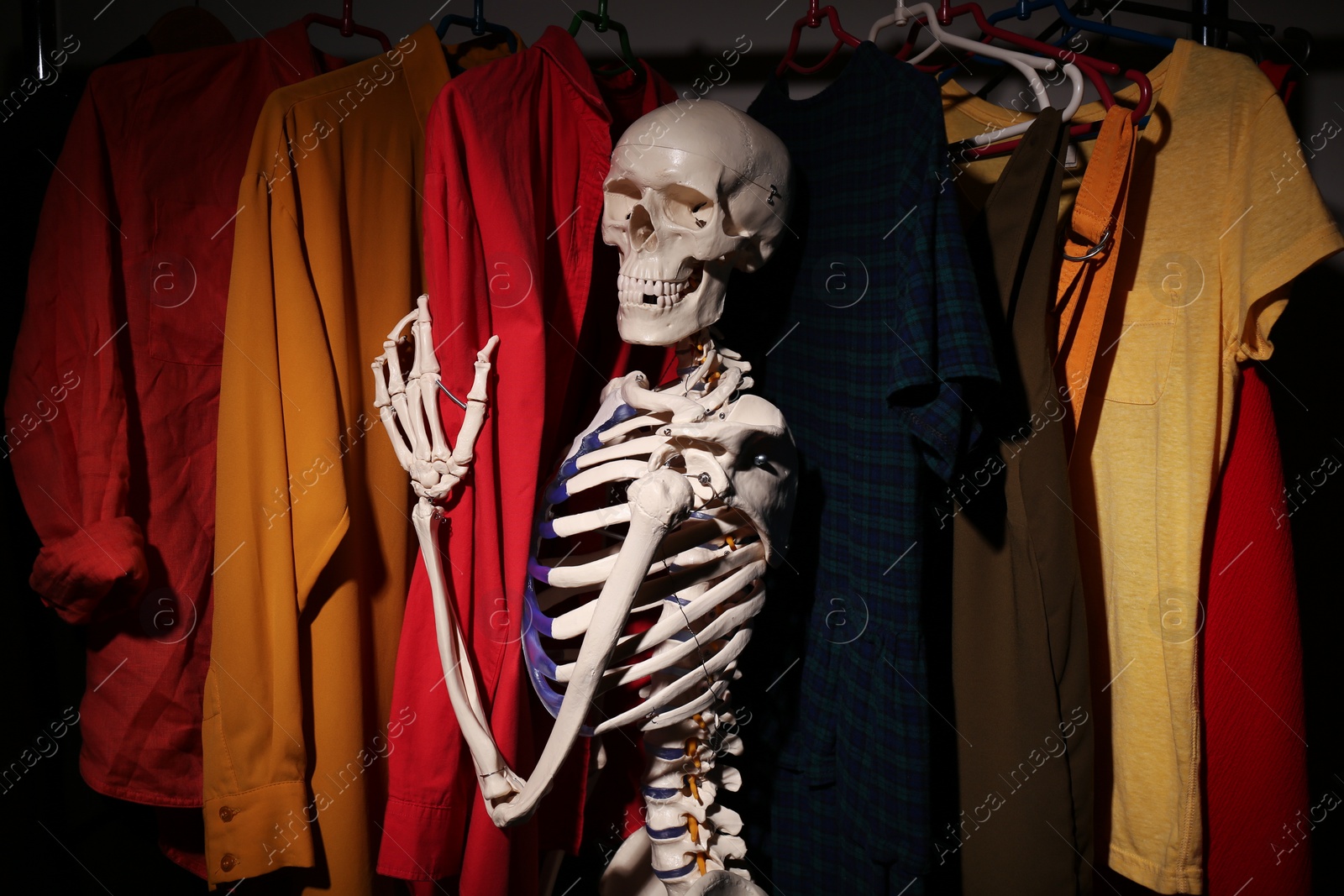 Photo of Artificial human skeleton model among clothes in wardrobe