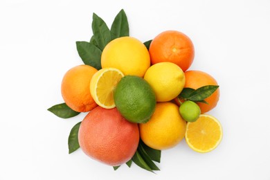 Photo of Different citrus fruits and leaves on white background, top view