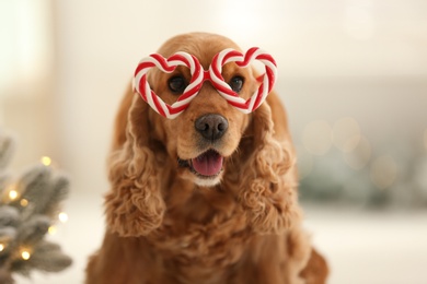 Photo of Adorable Cocker Spaniel dog in party glasses on blurred background, closeup