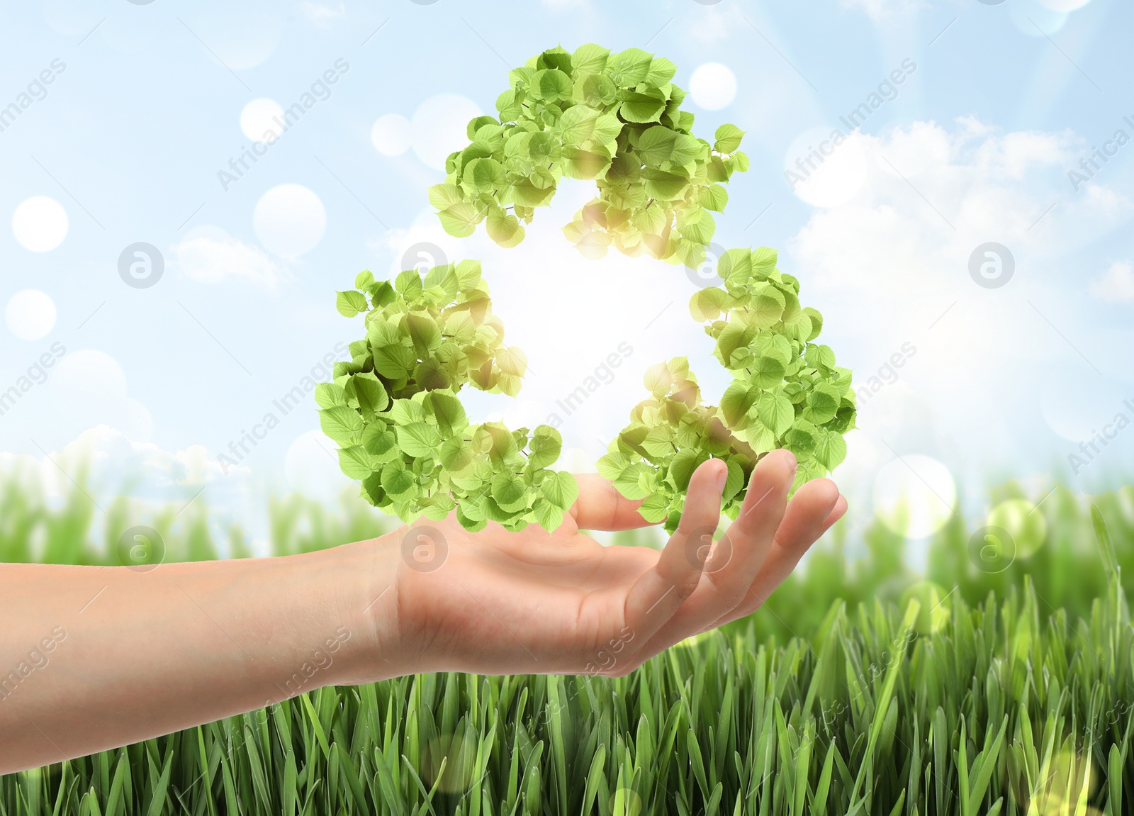 Image of Man with recycling symbol made of leaves outdoors, closeup 