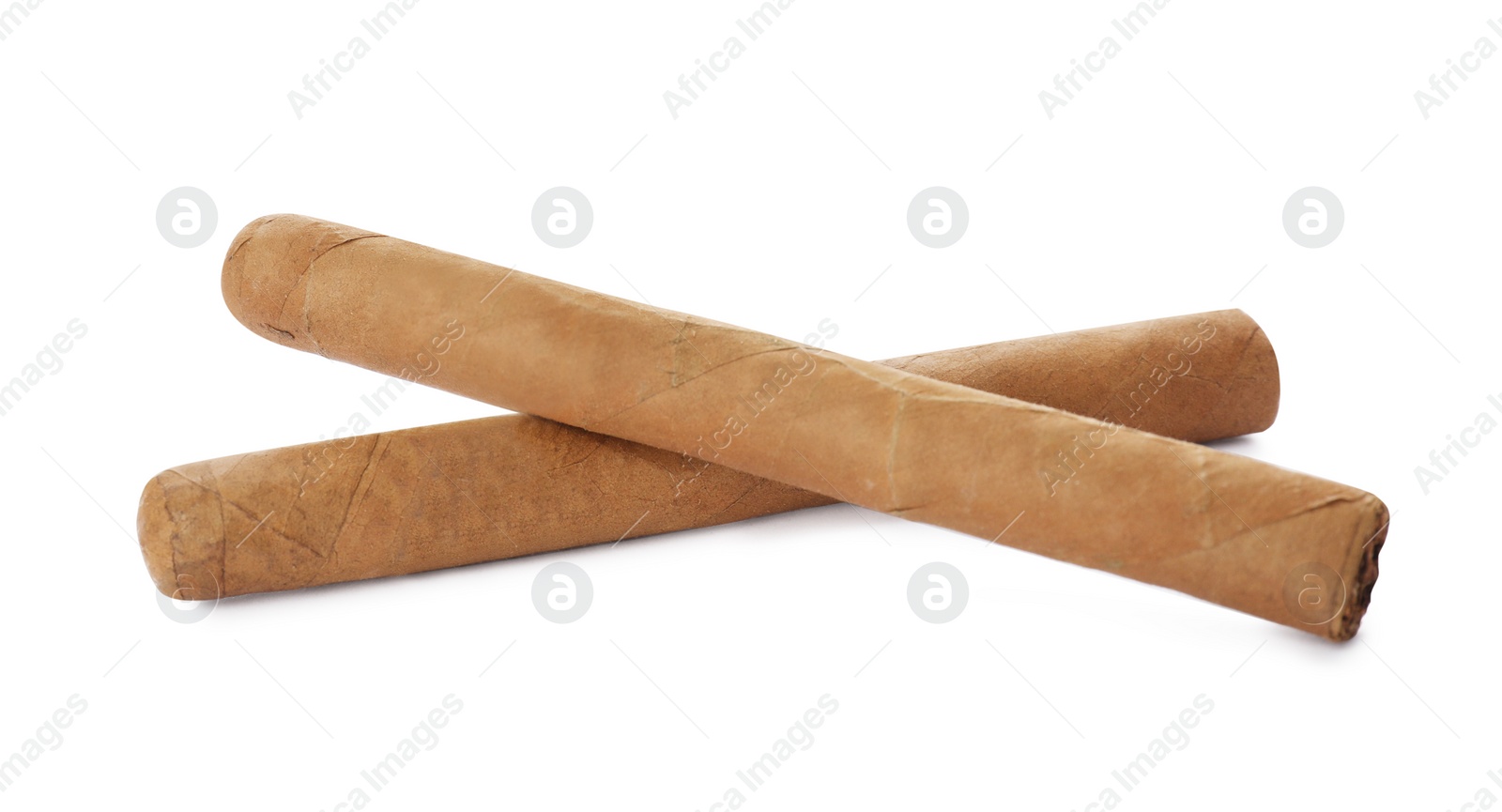 Photo of Two cigars on white background. Tobacco smoking