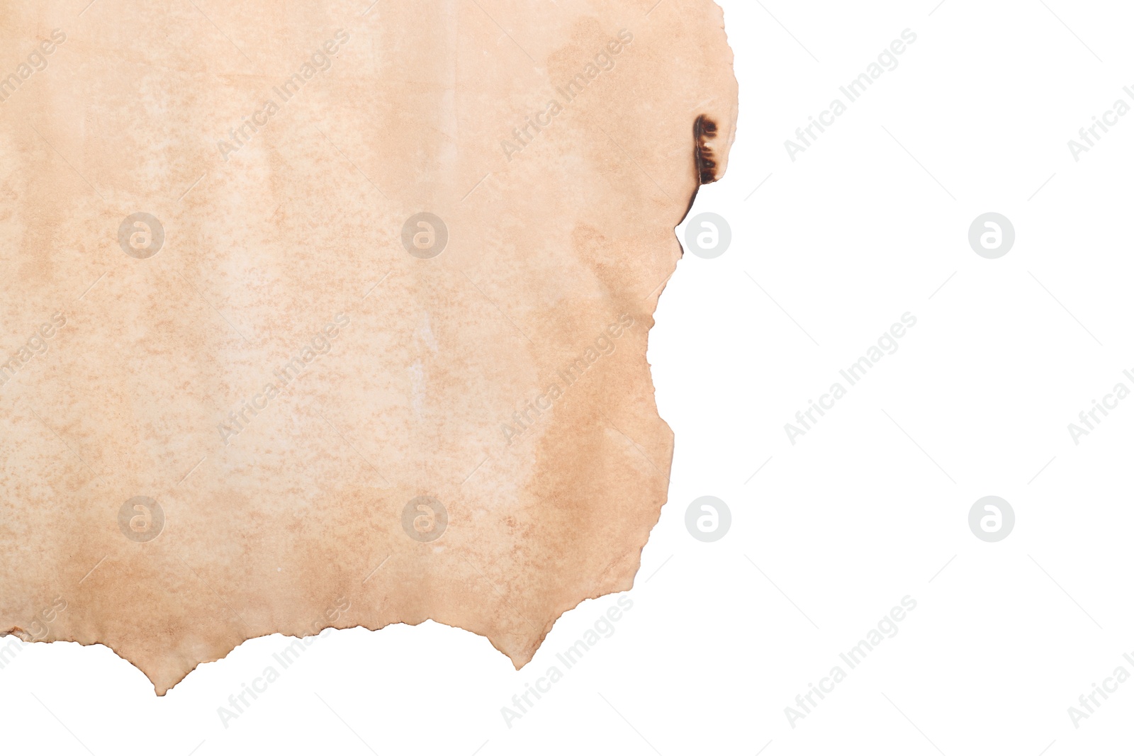 Photo of Blank sheet of old parchment paper on white background