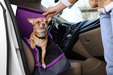 Photo of Owner transporting her dog, closeup. Chihuahua in pet carrier