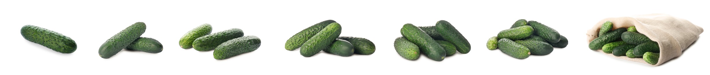 Image of Set with whole ripe cucumbers on white background. Banner design