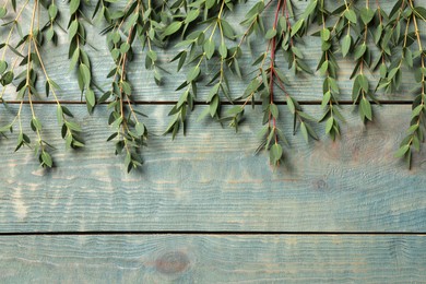 Photo of Eucalyptus branches with fresh green leaves on light blue wooden table, flat lay. Space for text