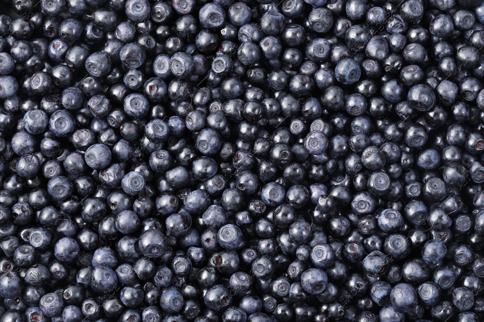 Photo of Many delicious ripe bilberries as background, top view