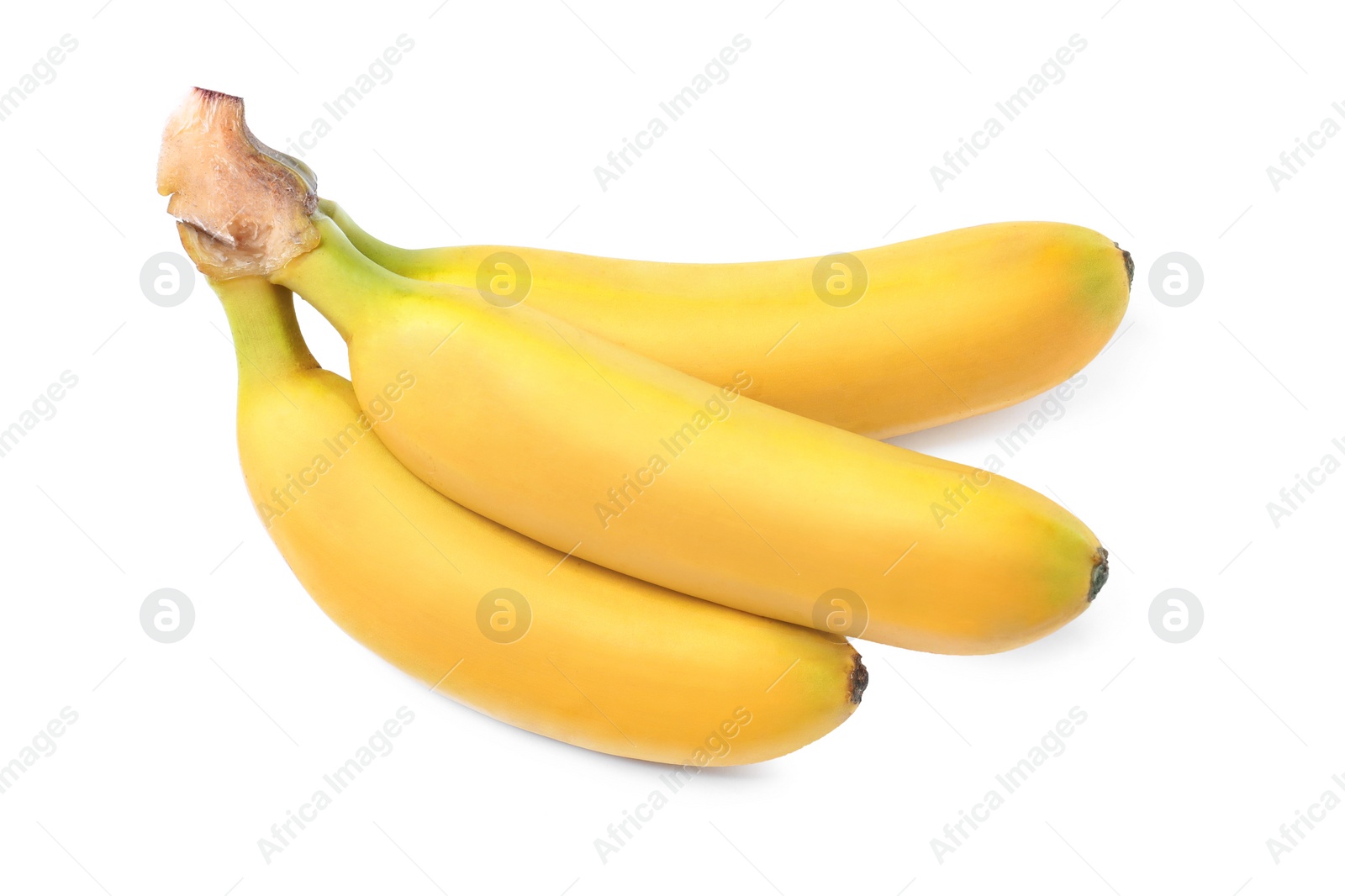 Photo of Cluster of ripe baby bananas on white background