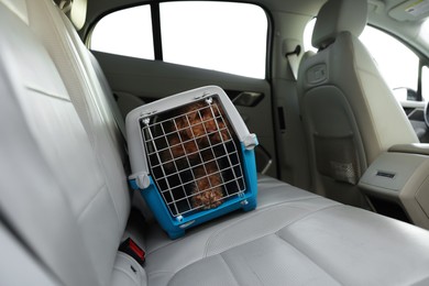 Photo of Cute dog in pet carrier travelling by car