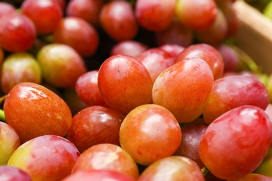 Photo of Fresh ripe juicy red grapes as background, closeup view