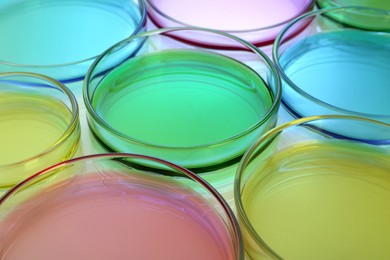 Photo of Petri dishes with colorful liquids on white table, closeup