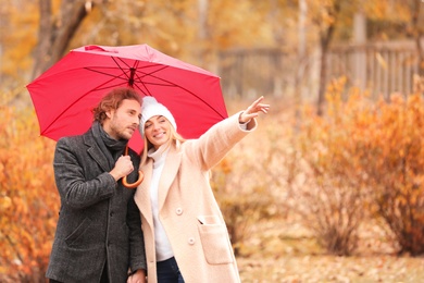 Young romantic couple with umbrella in park on autumn day