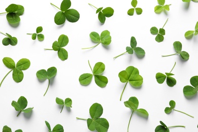 Photo of Flat lay composition with green clover leaves on white background, top view