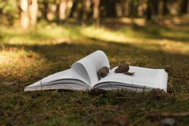 Photo of Open book and cones on grass outdoors