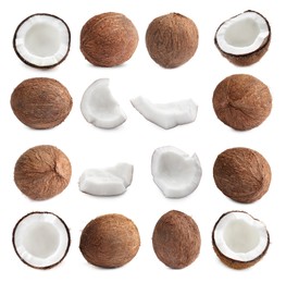 Image of Set with ripe coconuts on white background