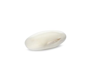 One uncooked navy bean isolated on white