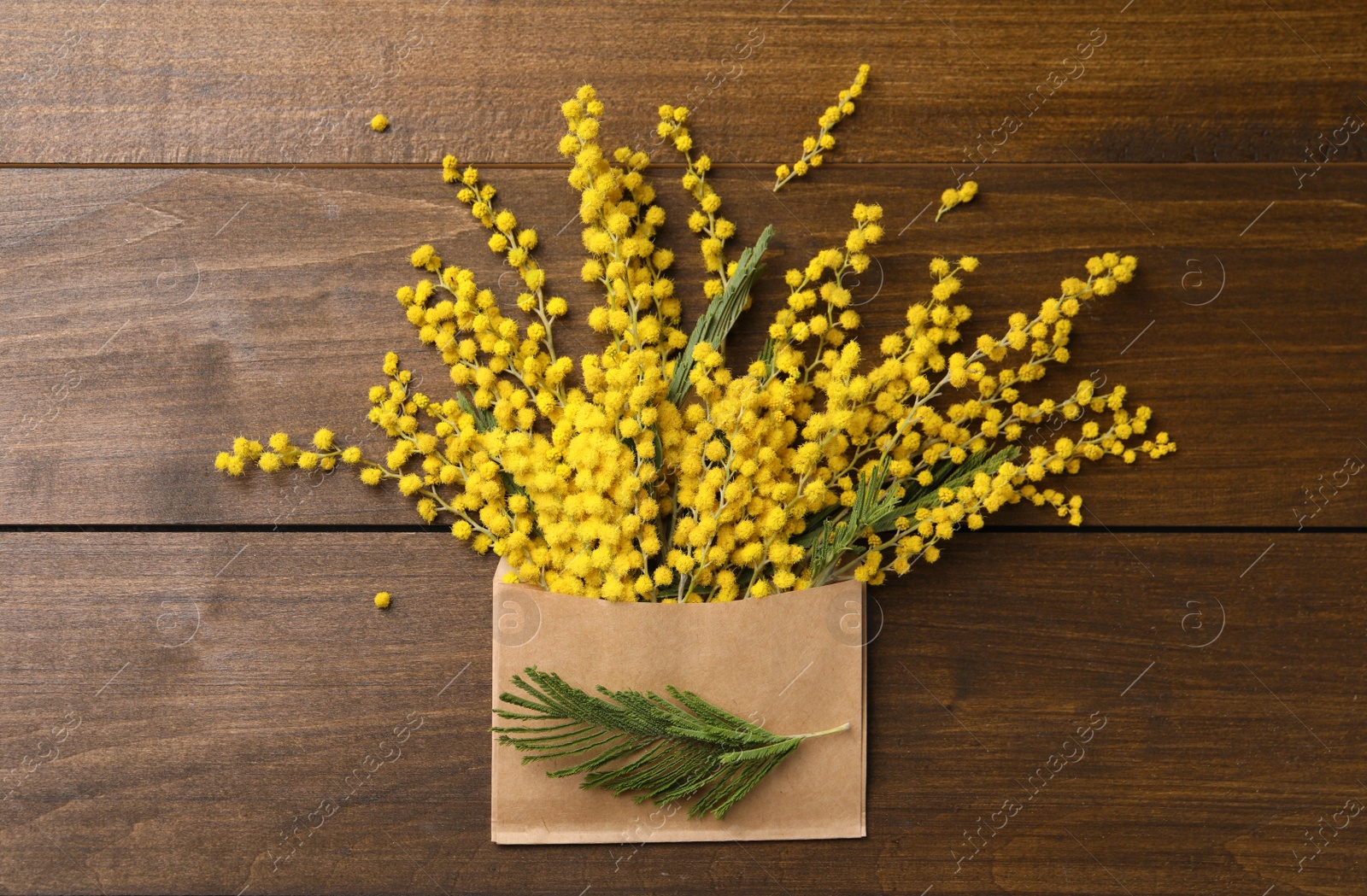 Photo of Beautiful mimosa flowers and envelope on wooden table, flat lay