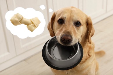 Image of Cute Golden Labrador Retriever carrying feeding bowl and dreaming about tasty treat indoors. Thought cloud with knotted bone