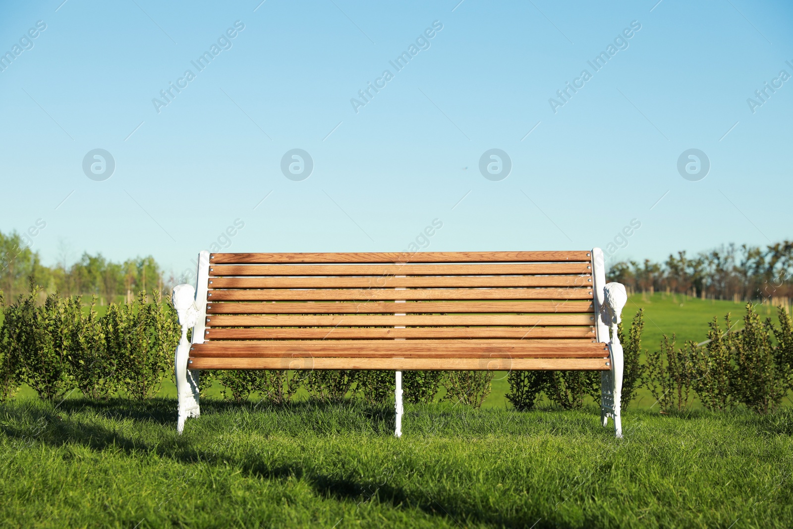 Photo of Beautiful park with green lawn and wooden bench on sunny day