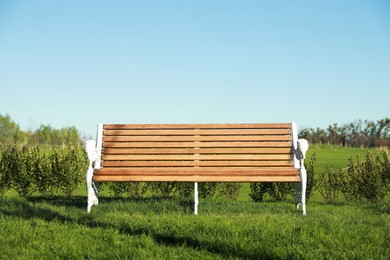 Beautiful park with green lawn and wooden bench on sunny day