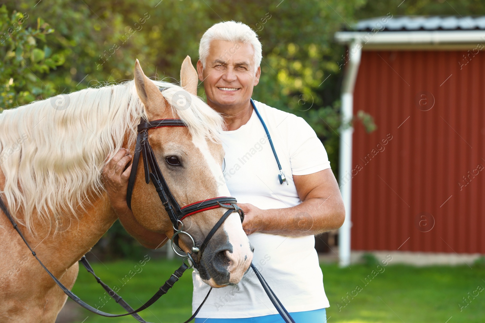 Photo of Senior veterinarian with palomino horse outdoors on sunny day