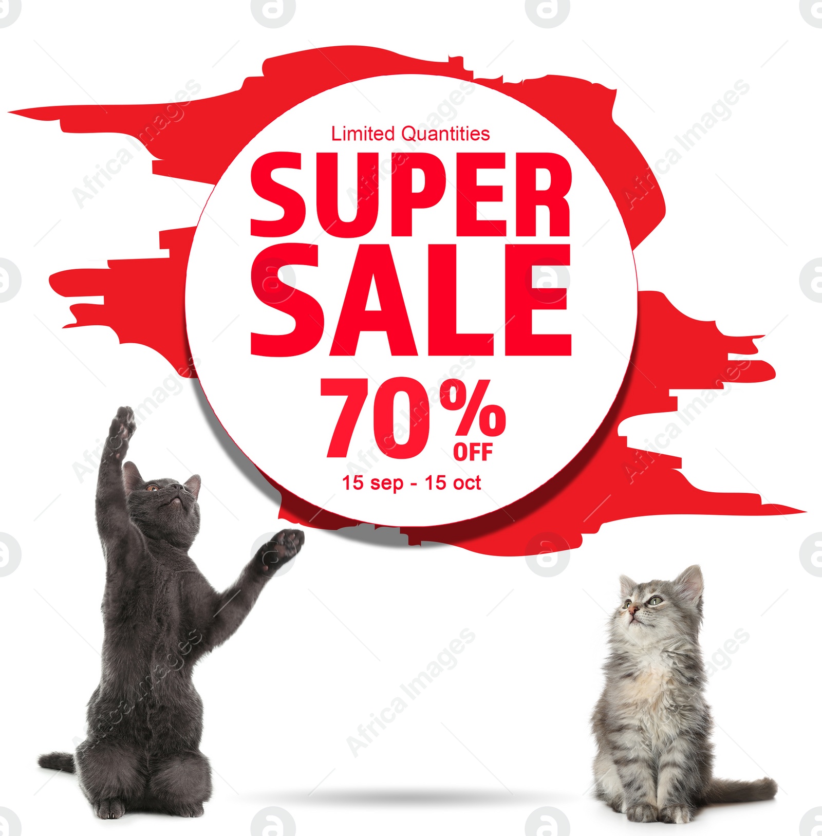 Image of Advertising poster Pet Shop SALE. Cute cats and discount offer on white background