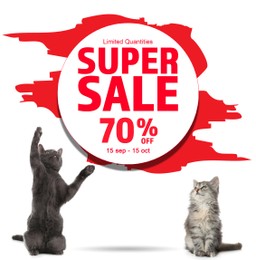 Advertising poster Pet Shop SALE. Cute cats and discount offer on white background