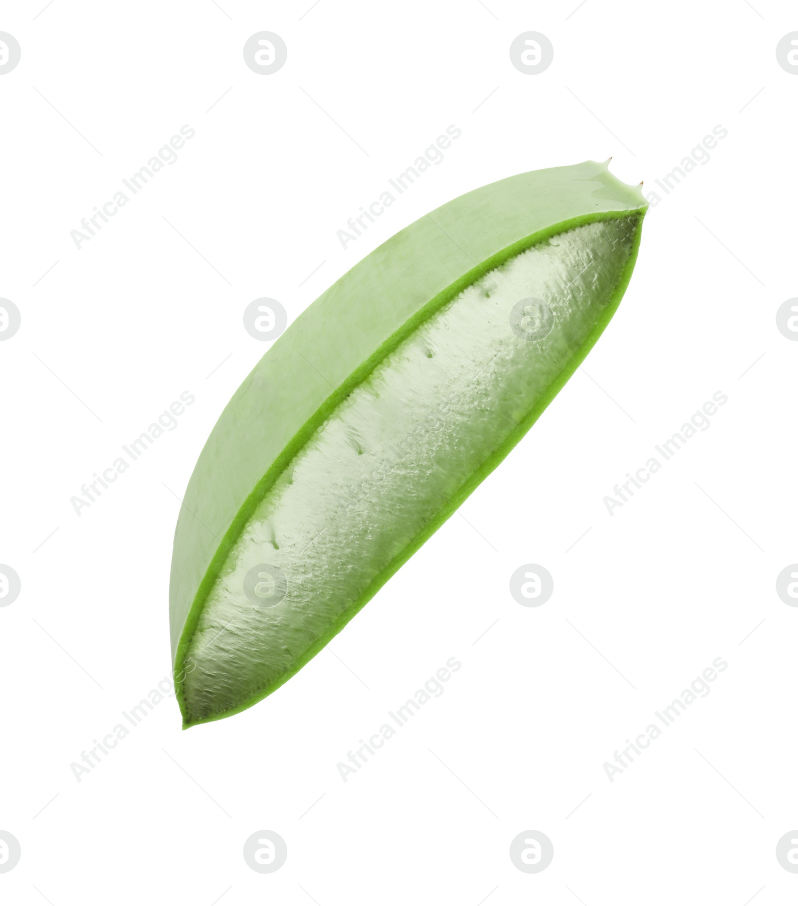 Photo of Green aloe vera slice isolated on white