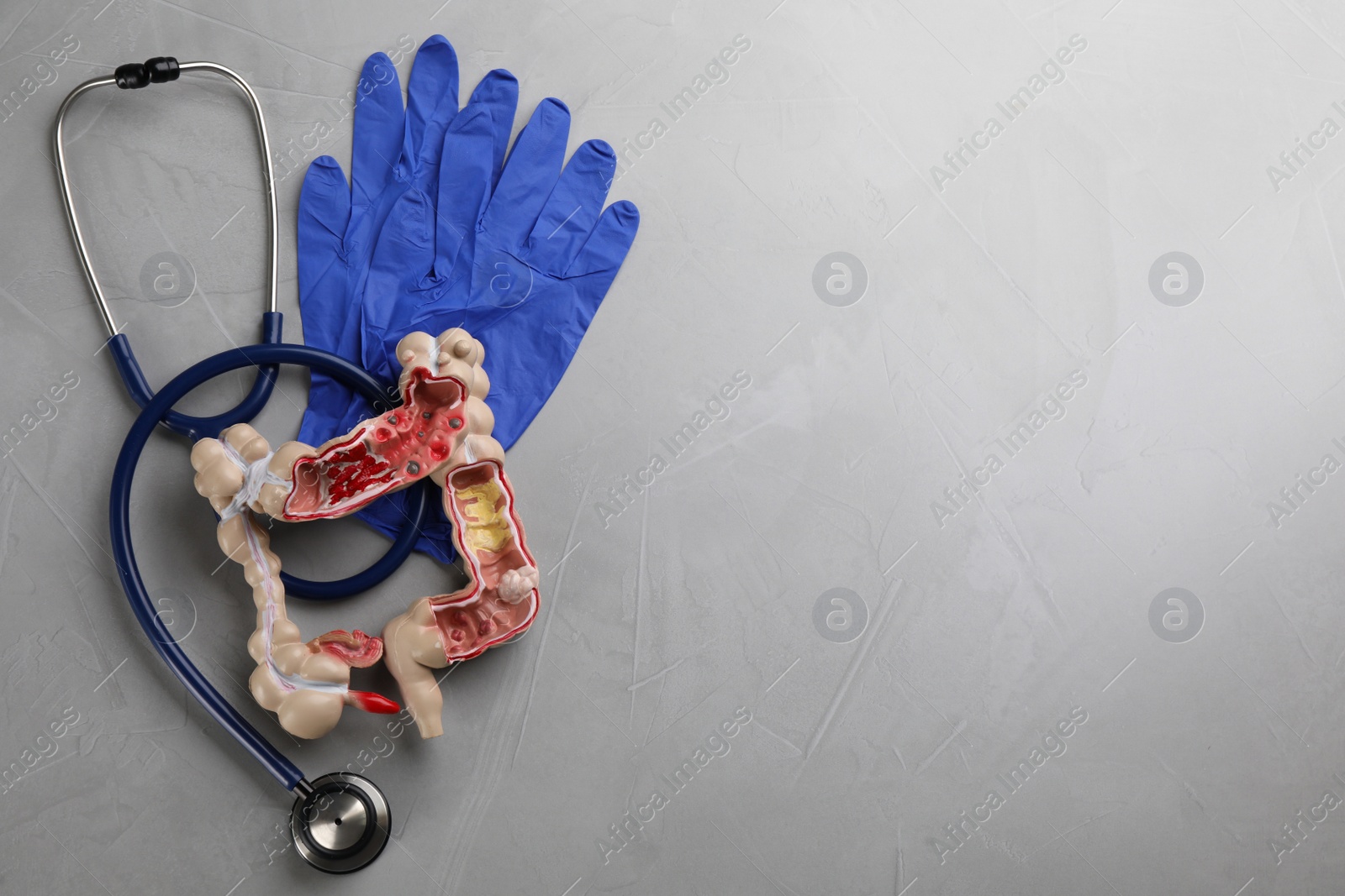 Photo of Human colon model with stethoscope and medical gloves on light grey table, flat lay. Space for text