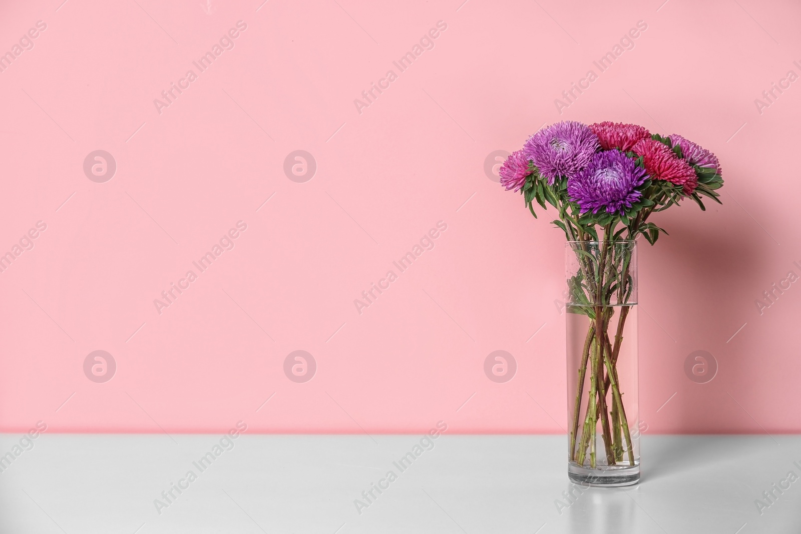 Photo of Beautiful flowers in vase and space for text on color background. Element of interior design