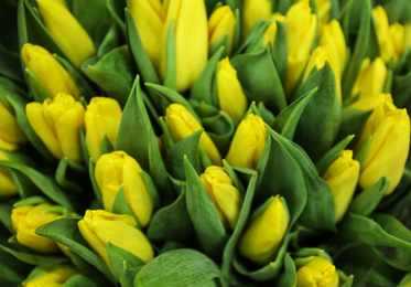 Photo of Fresh bouquet of beautiful tulip flowers, closeup