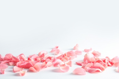 Photo of Beautiful rose petals scattered on light background