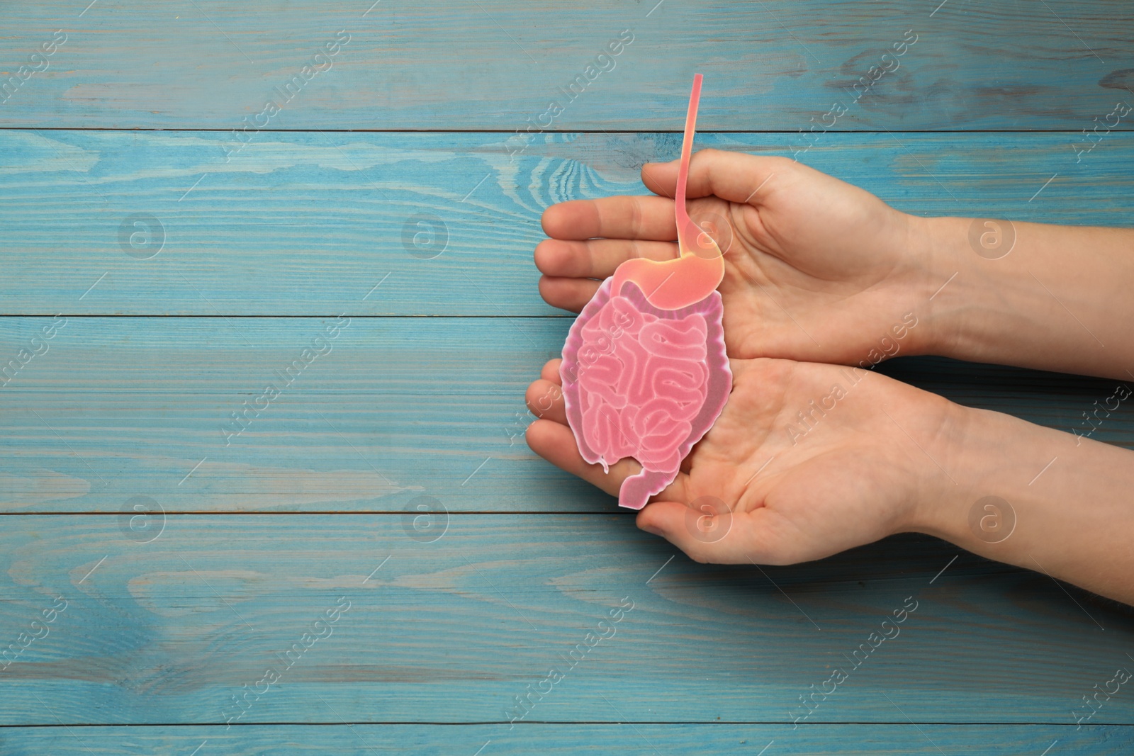 Photo of Woman holding paper cutout of small intestine on turquoise wooden background, top view. Space for text