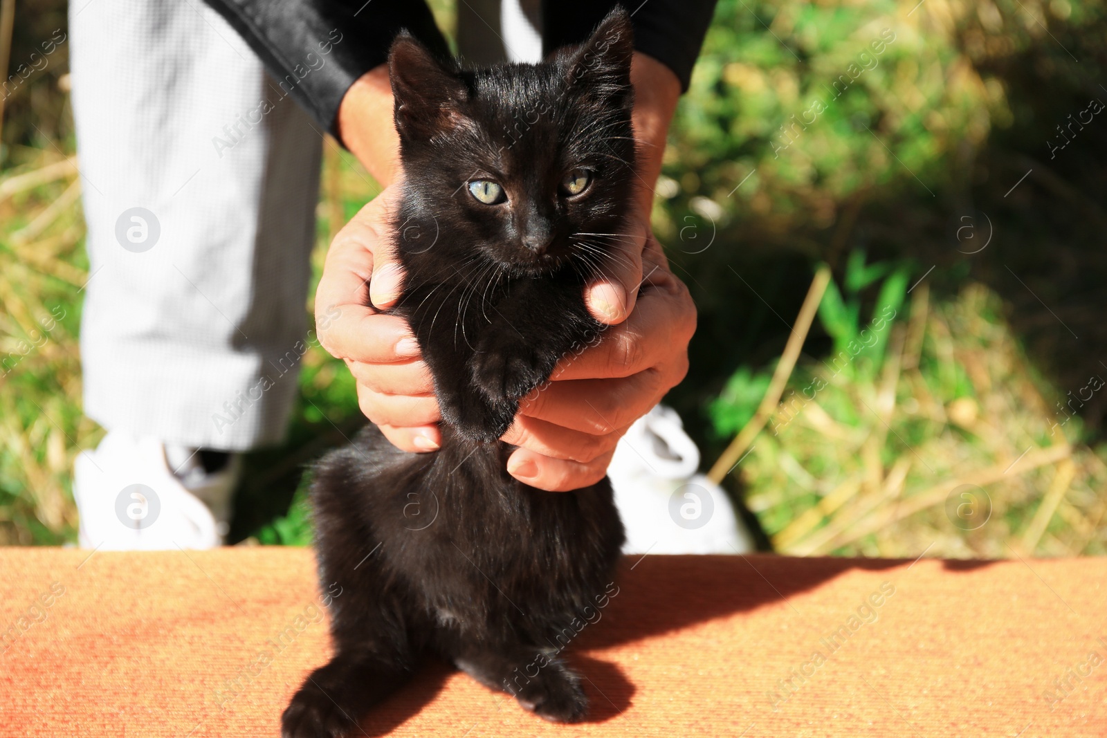 Photo of Woman with stray cat outdoors, closeup. Homeless animal