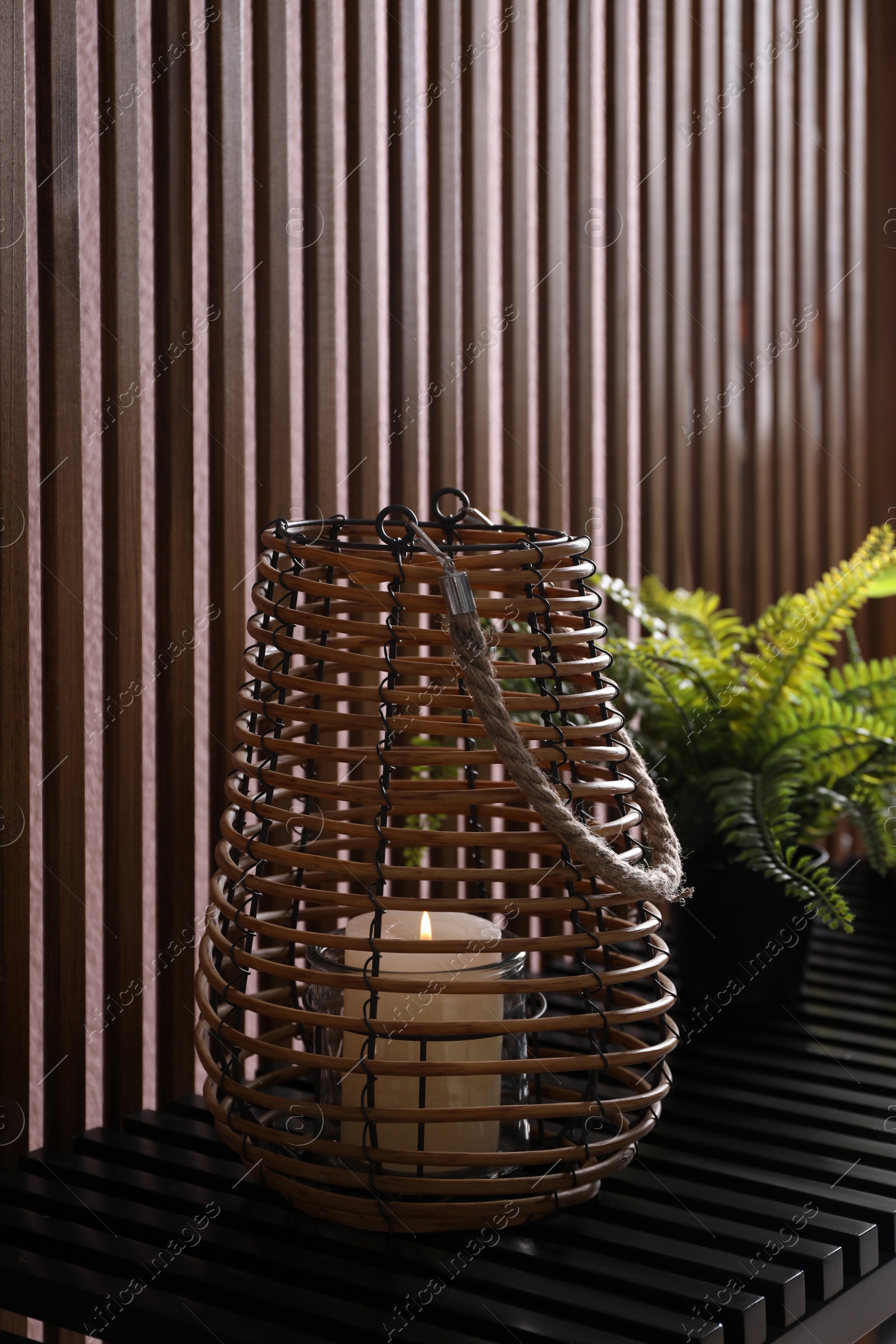 Photo of Stylish wicker holder with burning candle and beautiful houseplant on bench near wood slat wall