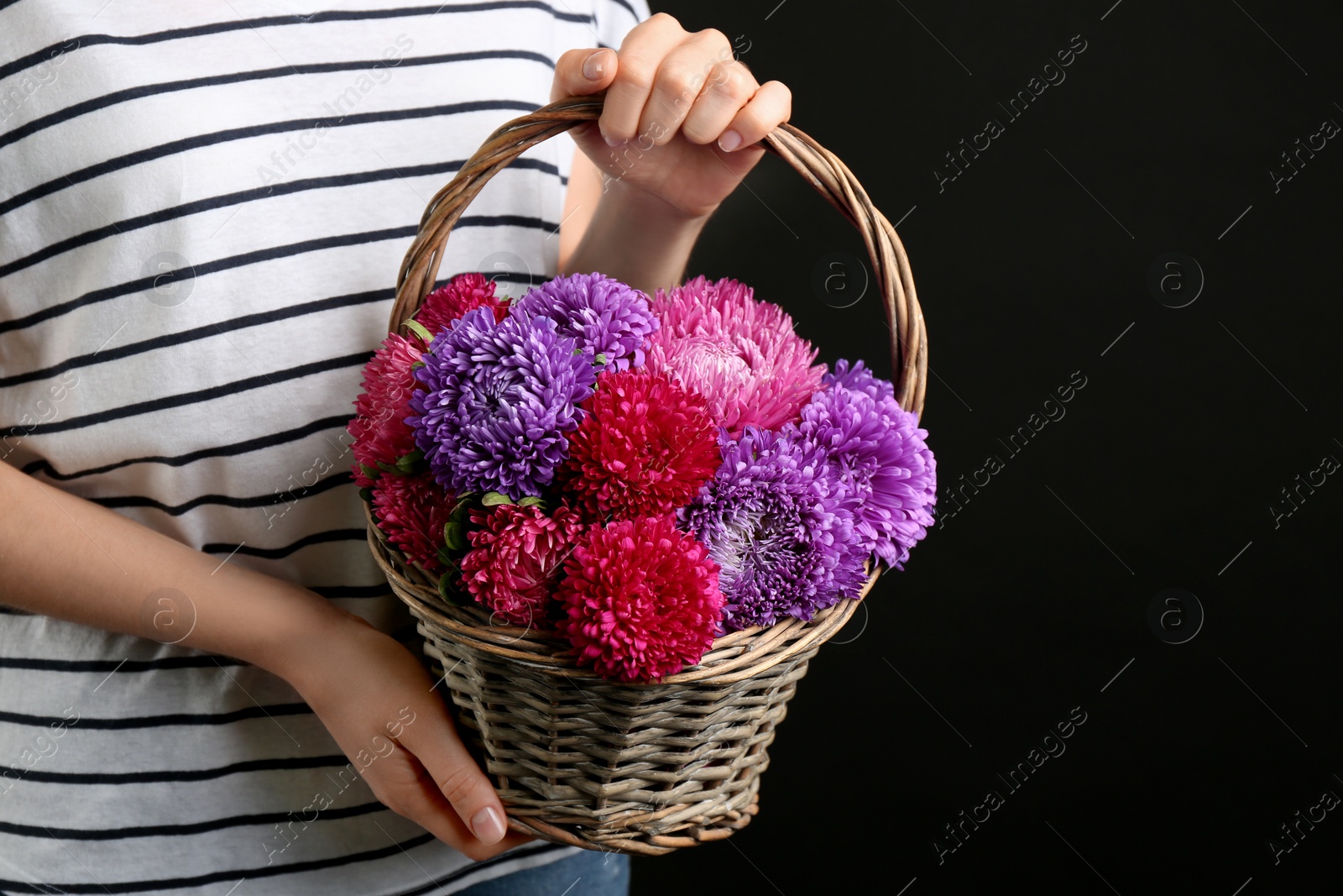 Photo of Woman with bouquet of beautiful asters on black background, closeup. Autumn flowers