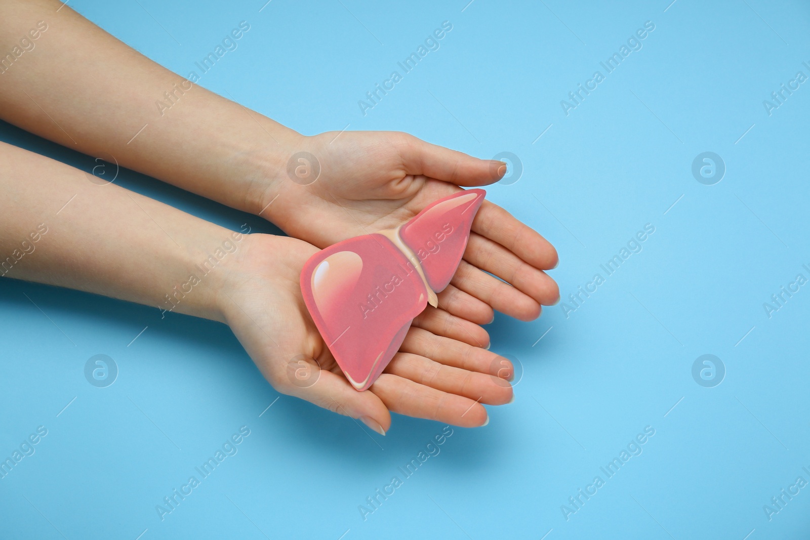 Photo of Woman holding paper liver on light blue background, closeup and top view. Hepatitis treatment