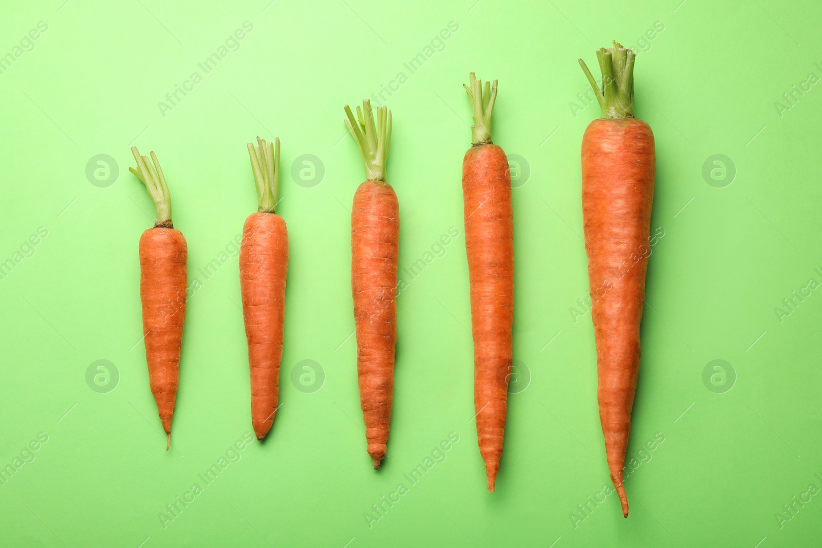 Photo of Flat lay composition with fresh carrots on color background