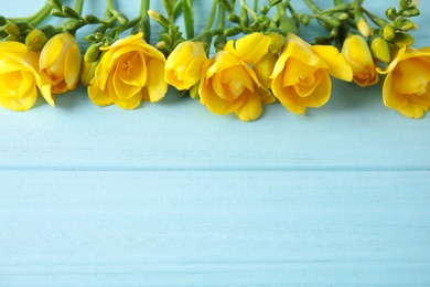 Beautiful fresh freesia flowers on color background. Space for text